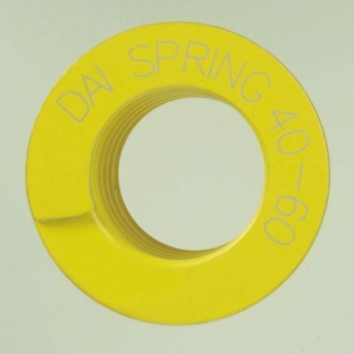 DF18*45日本大同彈簧中國(guó)工廠直供進(jìn)口輕小荷重彈簧